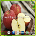 Pure Natural Apple Fiber Powder , Apple Fiber Concentrate , Apple Powder